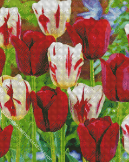 Red And White Flowers Diamond Painting