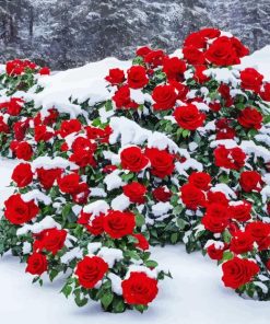 Red Flowers Snow Diamond Painting