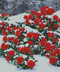 Red Flowers Snow Diamond Painting