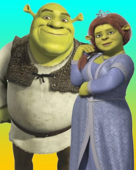Shrek And Fiona Diamond Painting