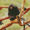 Spider Monkey Animal Diamond Painting