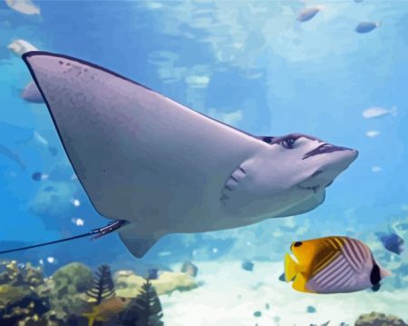 Stingray Under Water Diamond Painting