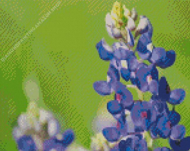 Texas Bluebonnet Flower Diamond Painting