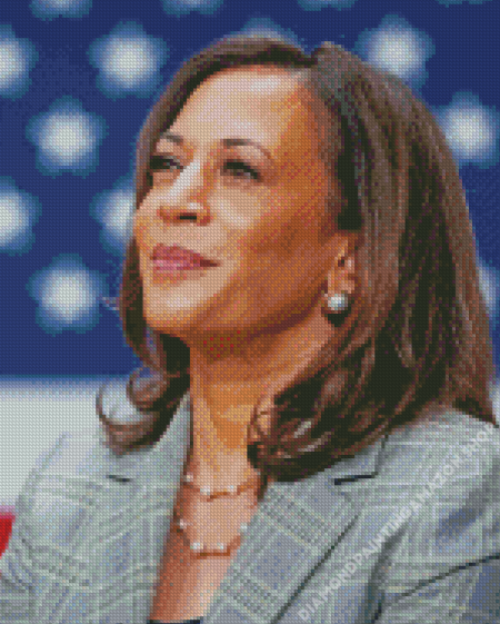 Vice President Kamala Harris Diamond Painting