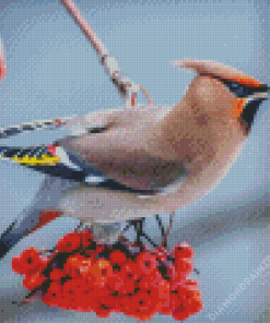 Waxwing On Flowering Tree Diamond Painting