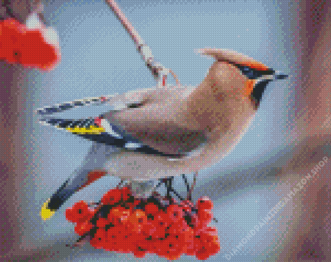 Waxwing On Flowering Tree Diamond Painting