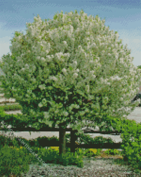 White Crabapple Tree Diamond Painting