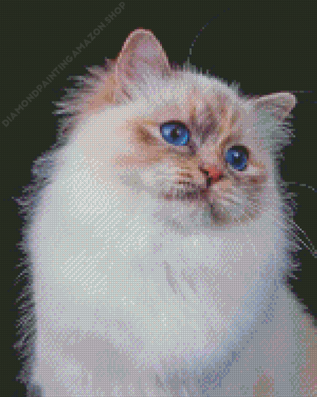 White Sacred Cat Of Burma Diamond Painting