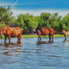 Wild Horses In Arizona Salt River Diamond Painting