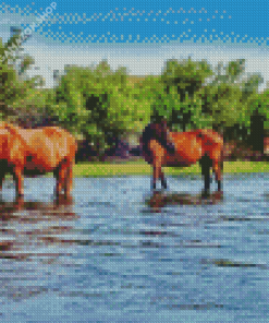 Wild Horses In Arizona Salt River Diamond Painting