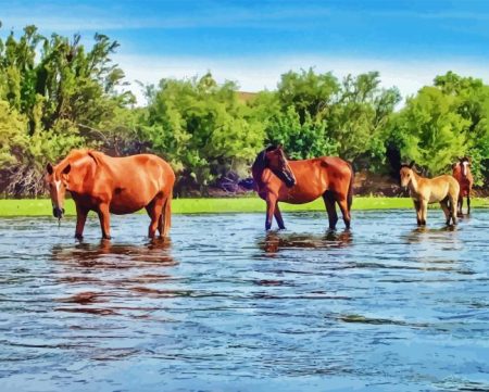 Wild Horses In Arizona Salt River Diamond Painting