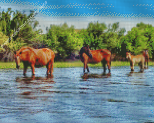 Wild Horses In Arizona Salt River Diamond Painting