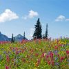 Alpine Meadows Diamond Painting