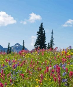 Alpine Meadows Diamond Painting