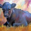 Angus Cow Diamond Painting