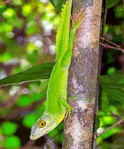 Anolis Garmani Diamond Painting