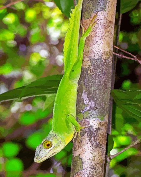 Anolis Garmani Diamond Painting