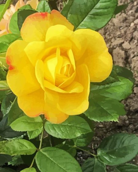 Austrian Briar Rose Diamond Painting