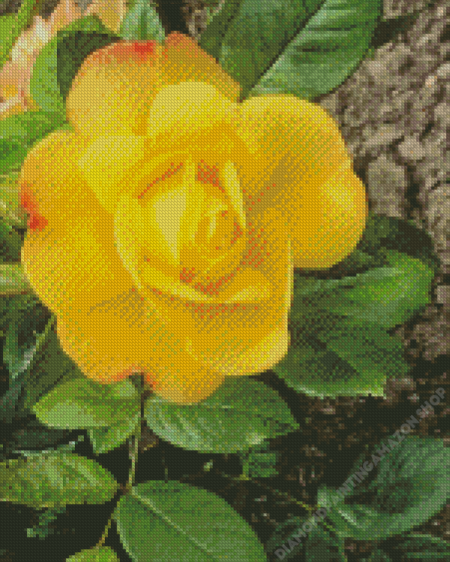 Austrian Briar Rose Diamond Painting