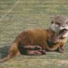 Baby Otter Diamond Painting