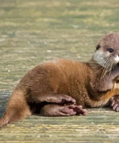 Baby Otter Diamond Painting