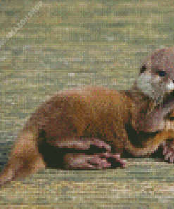 Baby Otter Diamond Painting