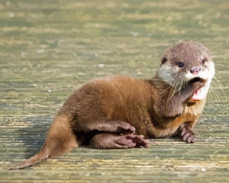 Baby Otter Diamond Painting