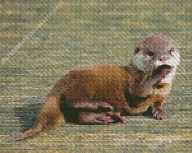 Baby Otter Diamond Painting