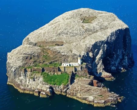 Bass Rock Diamond Painting