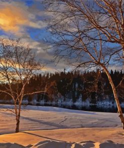 Birch Trees In Winter Diamond Painting