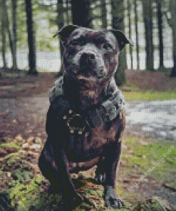 Black Staffy Bull Terrier Diamond Painting