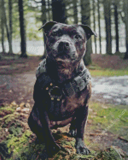 Black Staffy Bull Terrier Diamond Painting