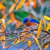 Blue Bird In Autumn Diamond Painting