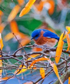 Blue Bird In Autumn Diamond Painting