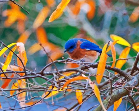 Blue Bird In Autumn Diamond Painting