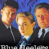 Blue Heelers Poster Diamond Painting