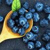 Blueberries Diamond Painting