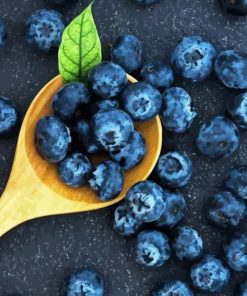 Blueberries Diamond Painting