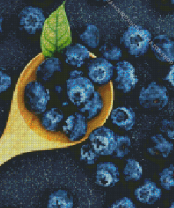 Blueberries Diamond Painting