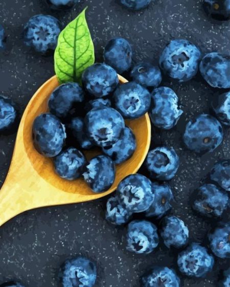 Blueberries Diamond Painting