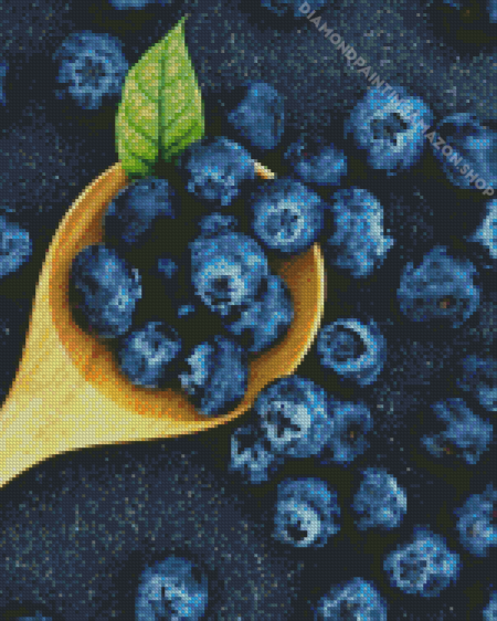 Blueberries Diamond Painting