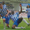 Brighton And Hove Albion Diamond Painting