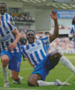 Brighton And Hove Albion Diamond Painting