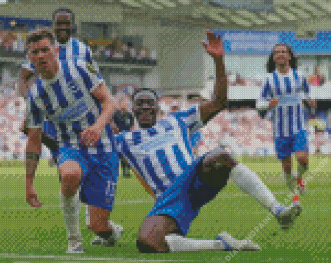 Brighton And Hove Albion Diamond Painting