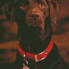 Brown Labrador Diamond Painting