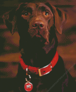 Brown Labrador Diamond Painting