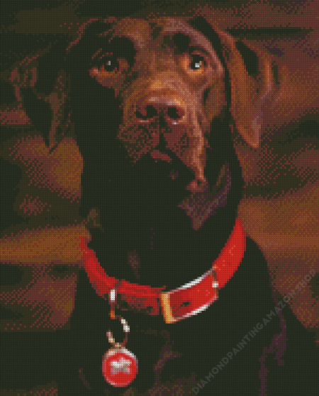 Brown Labrador Diamond Painting
