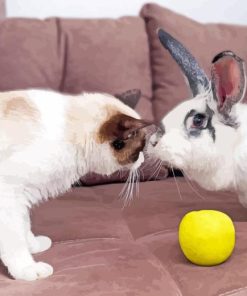 Bunny With Cat Diamond Painting