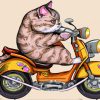 Cat On Motorcycle Diamond Painting