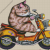 Cat On Motorcycle Diamond Painting